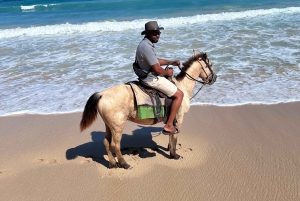 Punta Cana a Caballo: rondleiding met vervoer inbegrepen