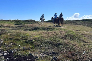 Punta Cana a Caballo: rondleiding met vervoer inbegrepen