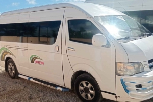 Punta Cana: Airport Transfer by Private Shuttle