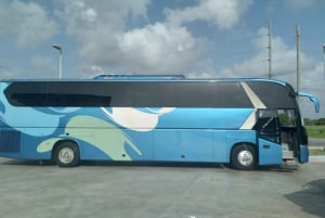 Punta Cana: Traslado al aeropuerto en transporte privado