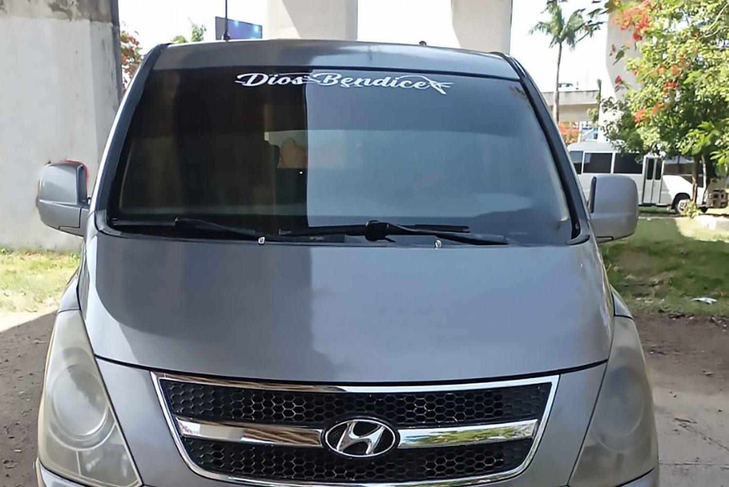 Punta Cana: Transfer do Aeroporto de/para Hotéis