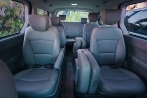 Trasferimenti dall'aeroporto di Punta Cana da/per l'hotel 1 o 2 vie