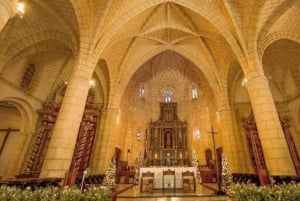 Punta Cana: Excursão de 1 dia com tudo incluído pela cidade de Santo Domingo