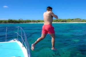 Punta Cana: Dagsutflykt till Altos de Chavón och Catalina Island