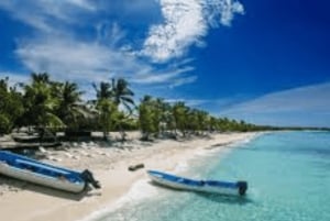 Punta Cana: Saona Island Tag mit Katamaran, Mittagessen und unberührten Stränden