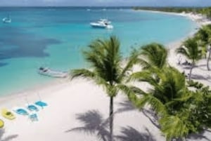 Punta Cana : Journée sur l'île de Saona avec catamaran, déjeuner et plages vierges