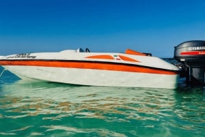 Punta Cana - Expérience étonnante en bateau rapide avec plongée en apnée