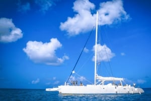 Saona Island: Strand og naturlig pool Tur med en lille gruppe m/ frokost