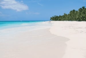 Isola di Saona: Tour per piccoli gruppi della spiaggia e della piscina naturale con pranzo