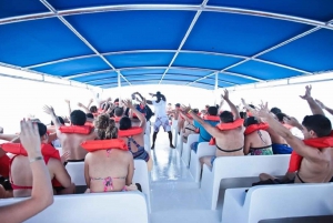 Punta Cana: Asombrosa Isla Saona Clásica Día Completo