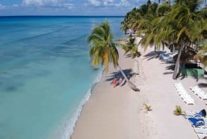 Punta Cana: Amazing Saona Island Clasica Full Day