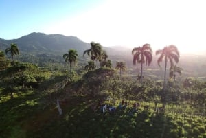 Пунта-Кана: пешеходная экскурсия по горам Анамайя с дегустацией