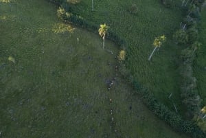 Пунта-Кана: пешеходная экскурсия по горам Анамайя с дегустацией