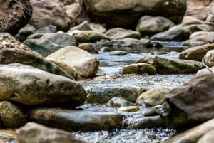 Пунта-Кана: пешеходная экскурсия по горам Анамайя с дегустацией