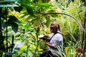 Punta Cana: Anamuya Mountains Guided Walking Tour