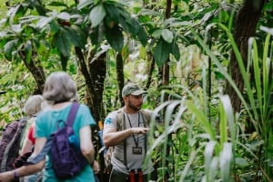Punta Cana: Anamuya Mountains Guided Walking Tour