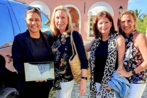 Punta Cana og Uvero Alto Premium flyplasstransport