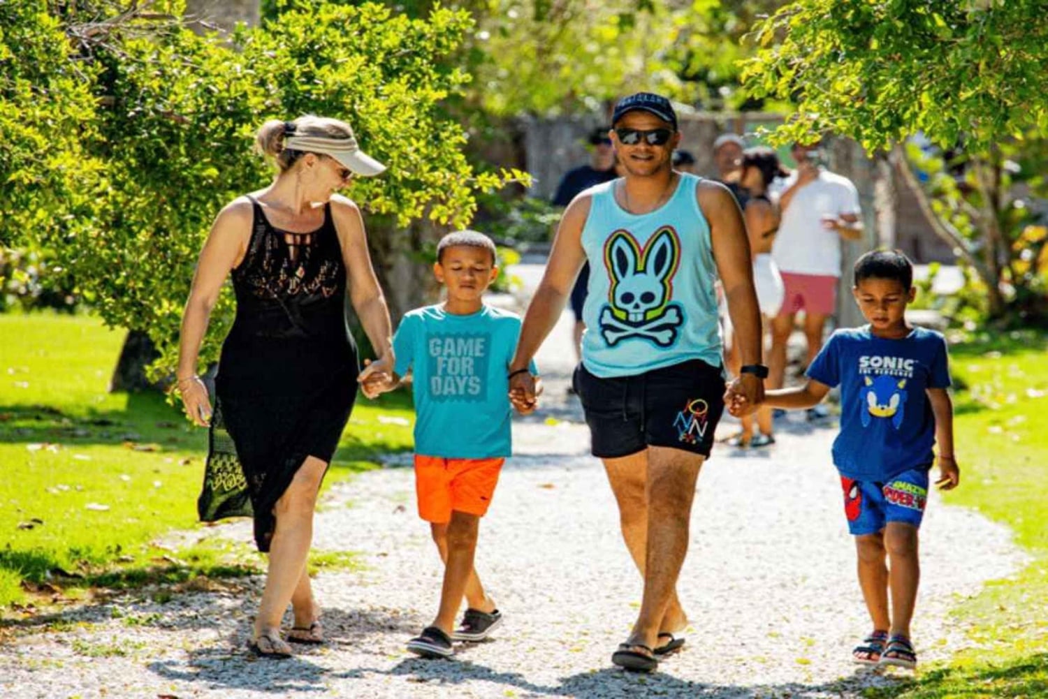 プンタカナ：アートとフォレスト・ウェイ フルデイ・ツアー（ランチ付き）