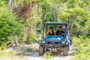 Punta Cana: Art and Forest Way Full-Day Tour with Lunch