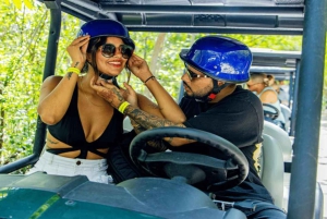 プンタカナ：アートとフォレスト・ウェイ フルデイ・ツアー（ランチ付き）