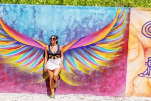 プンタカナ：アートとフォレスト・ウェイ フルデイ・ツアー（ランチ付き）