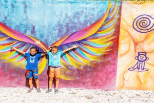 プンタカナ：アートとフォレスト・ウェイ フルデイ・ツアー（ランチ付き）