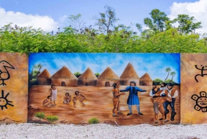 プンタカナ：アートとフォレスト・ウェイ フルデイ・ツアー（ランチ付き）