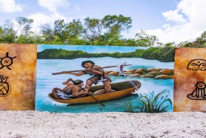 プンタカナ：アートとフォレスト・ウェイ フルデイ・ツアー（ランチ付き）