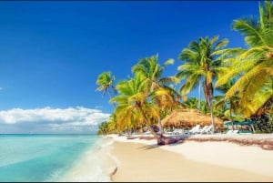 Punta Cana ATV Adventure: Beach & Cenote Tour with Pickup