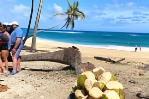 Punta Cana: ATV-eventyr – montaña redonda og playa esmeralda