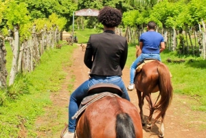 Punta Cana: Eventyrtur med ATV og ridetur på hesteryggen