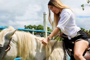 Punta Cana: Excursión de Aventura en quad y a caballo