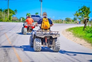 Punta Cana: Ridetur på stranden med henting