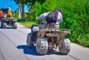 Punta Cana: Ridetur på stranden med henting