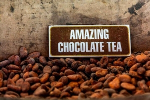 Punta Cana: ATV or Buggy Tour with Cenote and Beach