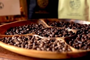 Punta Cana: ATV or Buggy Tour with Cenote and Beach