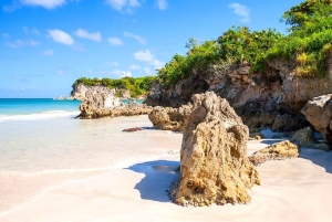 Punta Cana: ATV or Buggy Tour with Cenote and Beach