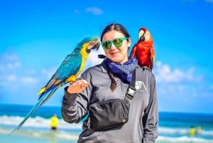 Punta Cana: ATV or Buggy Tour with Cenote and Beach