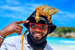 Punta Cana: ATV or Buggy Tour with Cenote and Beach