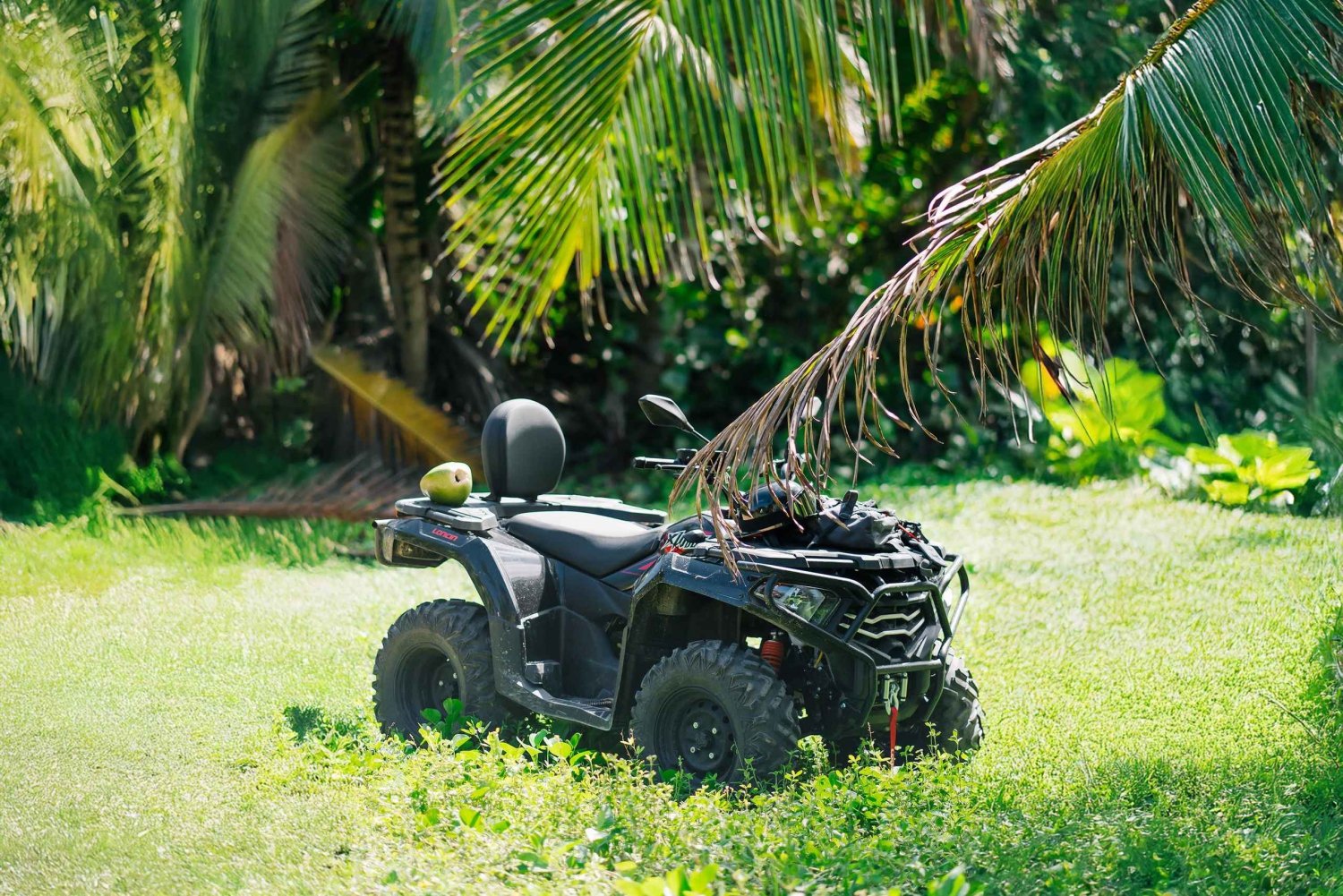 Punta Cana ATV-tur med hemmelige strande og palmelunde