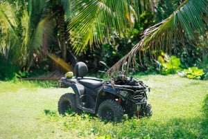 Tour in quad a Punta Cana con spiagge segrete e palmeti