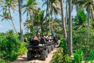 Tour in quad a Punta Cana con spiagge segrete e palmeti