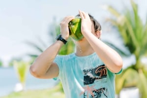 Tour in quad a Punta Cana con spiagge segrete e palmeti
