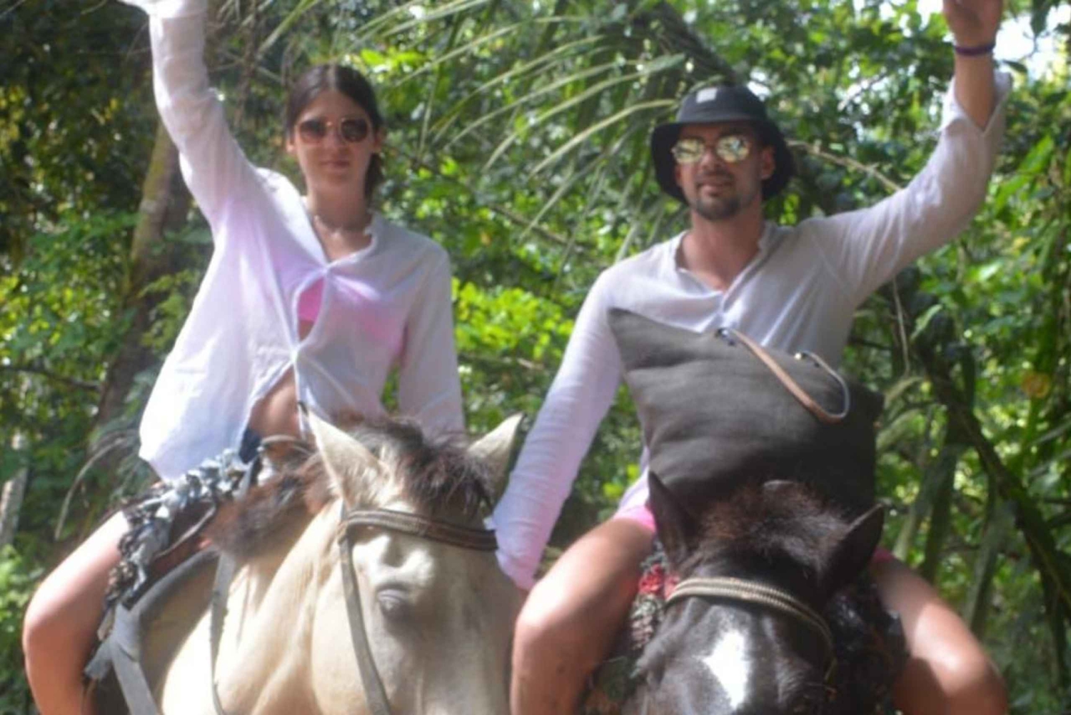 Punta Cana: Bacardi Island & Limon Waterfall Full-Day Tour