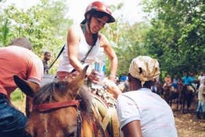 Punta Cana: Bacardi Island & Limon Waterfall Full-Day Tour