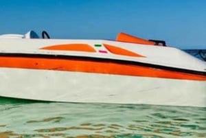 Punta Cana: Bávaro Beach Speedboat & Snorkeling Tour