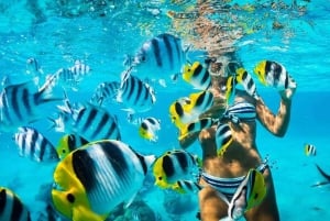 Punta Cana Bavaro: Private catamaran boat with snorkeling, open bar, and sailing