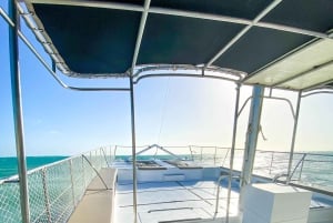 Punta Cana Bavaro: Private catamaran boat with snorkeling, open bar, and sailing