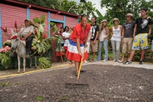 Punta Cana: Safari w Bavaro Runners