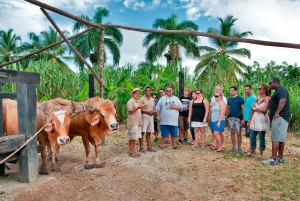 Punta Cana: Safari w Bavaro Runners